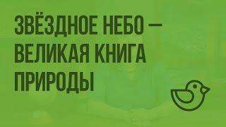 Звездное небо - великая книга природы. Видеоурок по окружающему миру 4  класс