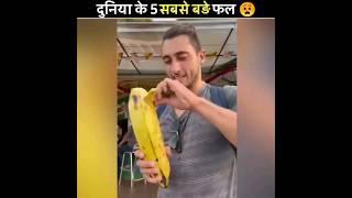 दुनिया के 5 सबसे बड़े फल | 5 Largest Fruits In The World | #shorts #ytshorts