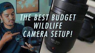 The Best BUDGET & LIGHTWEIGHT Camera Setup for BEGINNER Wildlife Photographers!