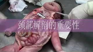 1.法医学尸体检查 中山大学 法医病理学  Forensic Examination