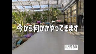 【掛川花鳥園公式】近づいて来る何か・・その正体とは！？