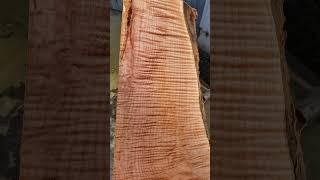 Curly maple 1 piece ,orcedar.com free shipping