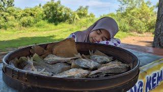 TERTIDUR...!!! IKAN HABIS DIMAKAN KUCING || GADIS YATIM BERTAHAN HIDUP || GADIS DESA SEDERHANA