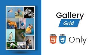 Responsive Image Gallery using CSS Grid in 2021 | CSS Grid Responsive Image Gallery | Image Gallery