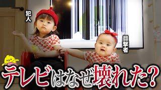 【事件の真相】1歳児はなぜテレビを壊した？ちゅんぴー年子姉妹