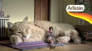 самый большой кот в мире
