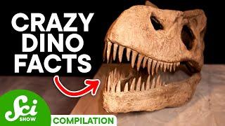 5 Cool Facts About Dinosaurs You Should Know
