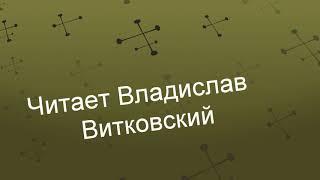 Мне больше нравятся собаки. Автор : Эдуард Жолудев. Читает  Владислав Витковский.