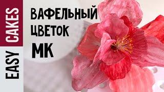 КАК СДЕЛАТЬ ВАФЕЛЬНЫЕ ЦВЕТЫ ДЛЯ ТОРТА МК для начинающих