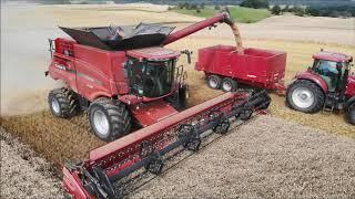 Case IH Axial Flow 7240 harvest in Denmark