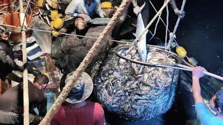rezeki Hari Malaysia nelayan pukat jerut TRF678 Telaga Papan Setiu