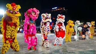 Múa Lân Hay Nhất 2021 giải Lân Sư Rồng tỉnh Tây Ninh / Lion Dance Vietnam