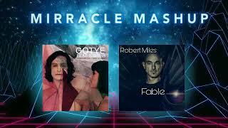 Gotye x Robert Miles - Somebody that I used to know x Fable (MIRRACLE mashup Tik Tok)