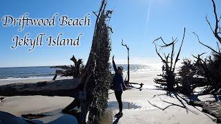 Exploring Beautiful Driftwood Beach | Jekyll Island, Georgia | In stunning 4K