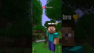 Tipos de Amigos en Minecraft