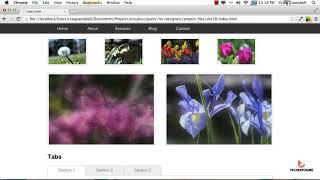 Introduction To jquery in English || javascript Library jquery || Learn Jquery in English