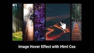 html css   image hover effect - CyberCodeStar