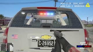 Traffic stop turns into fatal shooting (GTA5)