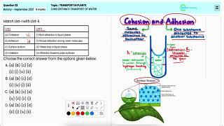 Mastering Long Distance Water Transport in Plants NEET Botany 2021 Answer Insights Q22