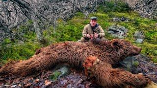 Bear hunt in the Caucasus Mountains