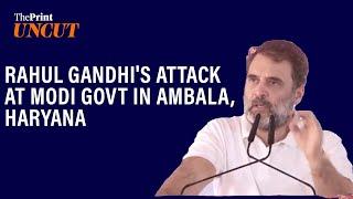 'This is not Modi's govt, it is Adani's government': Rahul Gandhi's speech in Haryana's Ambala