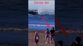 Biggest orca in the world - Shorts ##trending