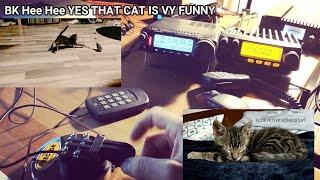 Cat Video Telegraphy Comment (OZ8CW DE SQ5VCO CW QSO on 80m)