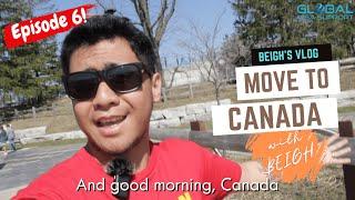 First Steps for Newcomers in Canada | Beigh's Vlog