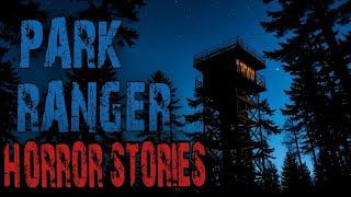 Scary Park Ranger Stories for a Dark Fall Night | Forest Ranger, National Park, Missing Person