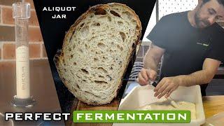 Aliquot Jar Sourdough: Perfect Your Bulk Fermentation Process