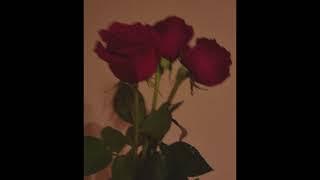 [FREE] R&B x Thuy type beat - "Rose"