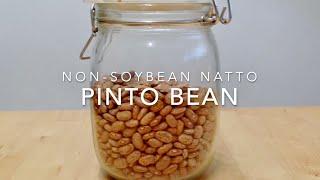 Pinto Bean -Non-Soybean Natto Series-