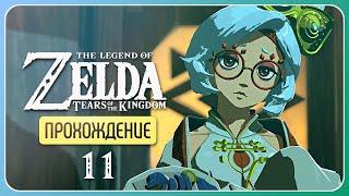 Поисковая группа ※ The Legend of Zelda: Tears of the Kingdom #11