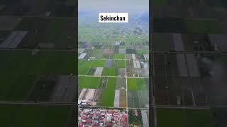 view sawah padi sekinchan#video #viral #malaysia