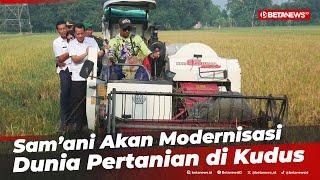 Sam’ani Bellinda Terjun Langsung Ikut Panen Padi di Tenggeles Kudus