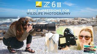 Nikon Z6III : My first impressions for wildlife photography on assignment for Nikon Europe    