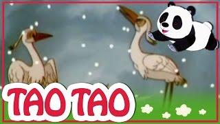 Tao Tao - episodi 14 - Iso lintujen muuton