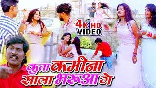 Hd~Video | कुत्ता कमीना साला भरुआ गे | Kamta Tufani | Bhojpuri Video Song | Kutta Kamina Sala Bharua