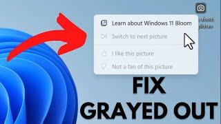 Fix - Windows Spotlight ‘Switch To Next Picture’ Option Grayed Out