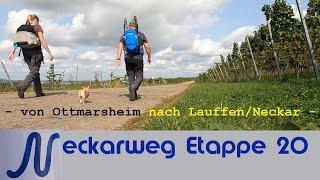 Neckarweg Etappe  20 | von Ottmarsheim nach Lauffen/Neckar