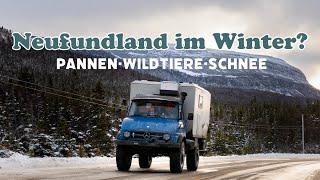 Mit dem Unimog ins Abenteuer: Die raue Schönheit Neufundlands erleben!