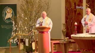 Holy Mass,  St. Peter & Paul’s Catholic Church, Portlaoise, Co. Laois, Ireland - Nov 01 2016