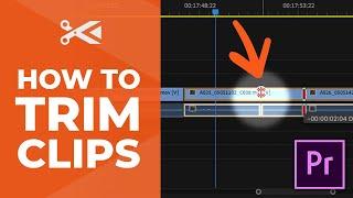 How to Use the Trim Tool | Adobe Premiere Pro Tutorial