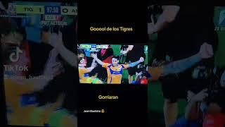 Gol de Tigres minuto 97:40, Gorriaran, @jean_bautista1