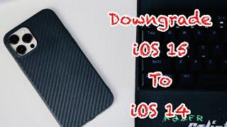 Downgrade from iOS 15 to iOS 14 in a FEW STEPS - No Data Loss