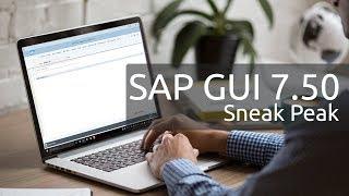 SAP GUI 7.50 - UI Sneak Peek