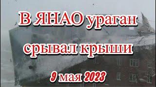 В ЯНАО ураган вырывает деревья и разворачивает остановки и срывает крыши