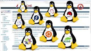 How to Install and Configure Apache HTTPD 2.4 Server Manually In Linux - Complete Guide