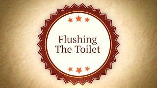 Flushing The Toilet