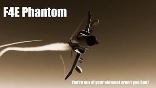 F4E Phantom  | Rotor Heads Perspective :